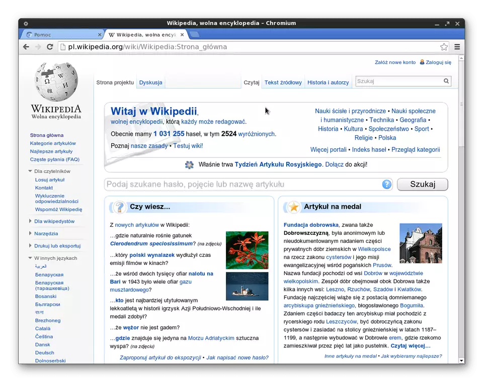 Chromium browser yeLinux