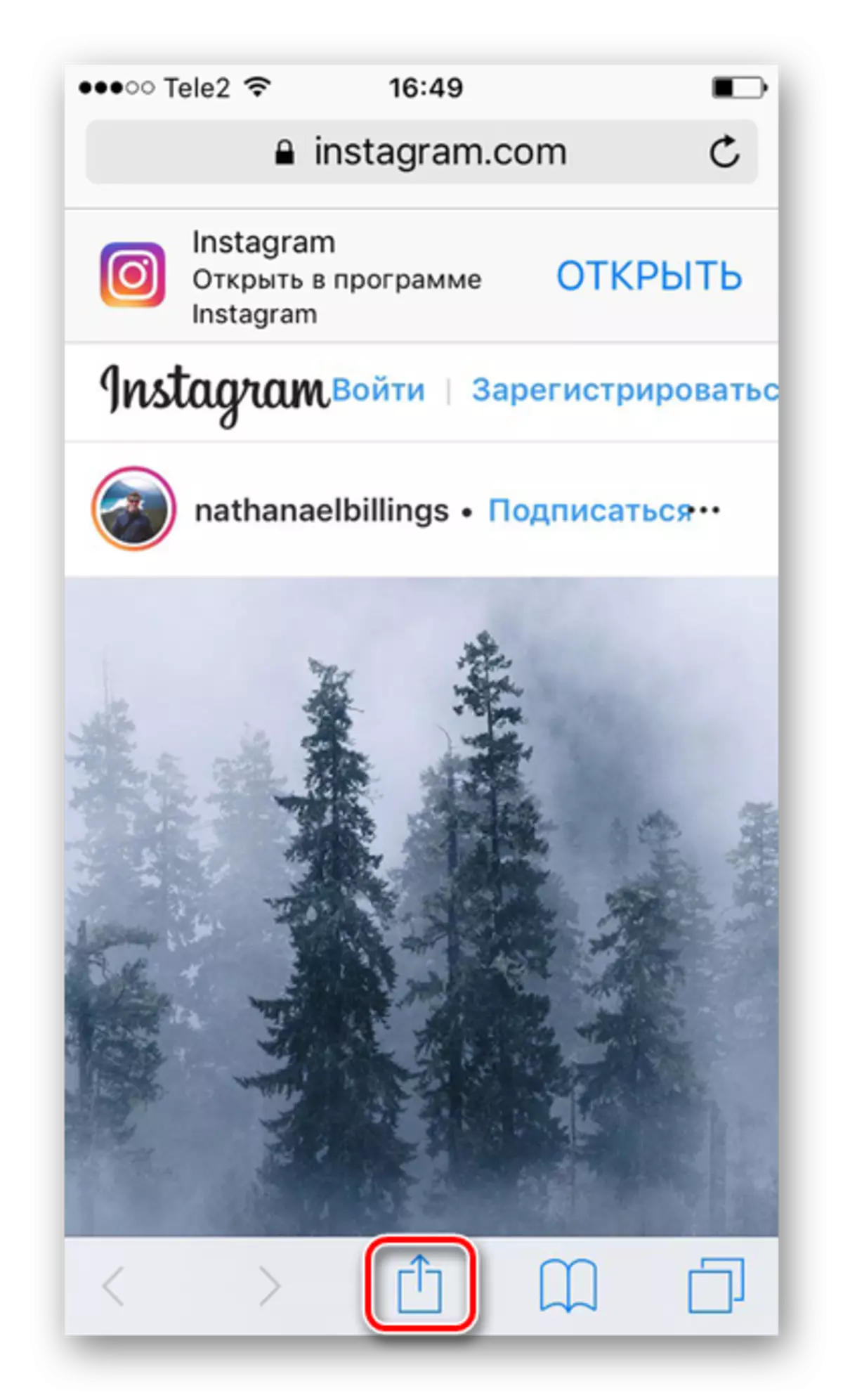 S klikom na ikono Share za prenos fotografij z Instagramom na iPhone