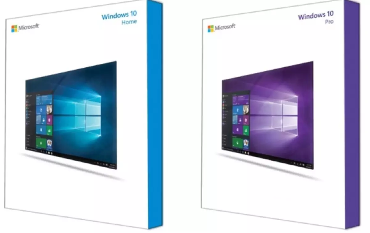 Versi Rumah dan Pro Windows 10