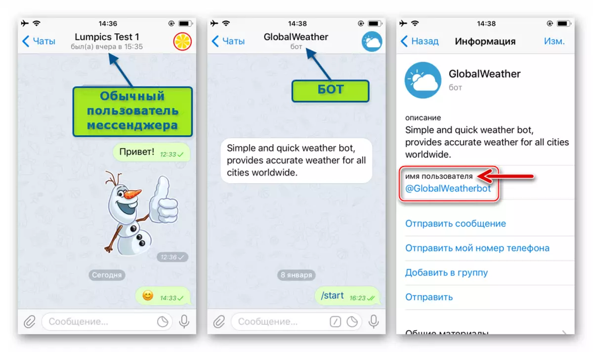 Telegram สำหรับ iOS - ลิงก์ใน Messenger ในโปรไฟล์ผู้ใช้หรือบอทบนข้อมูลหน้าจอ