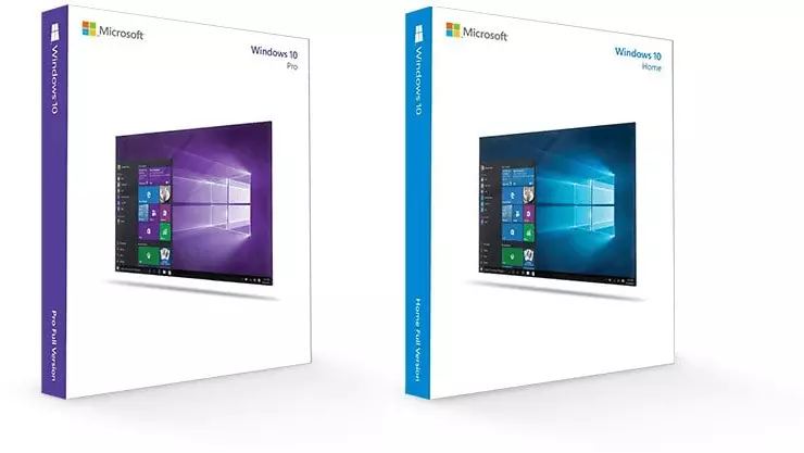 Sanduuqyada Windows 10 Pro iyo Home