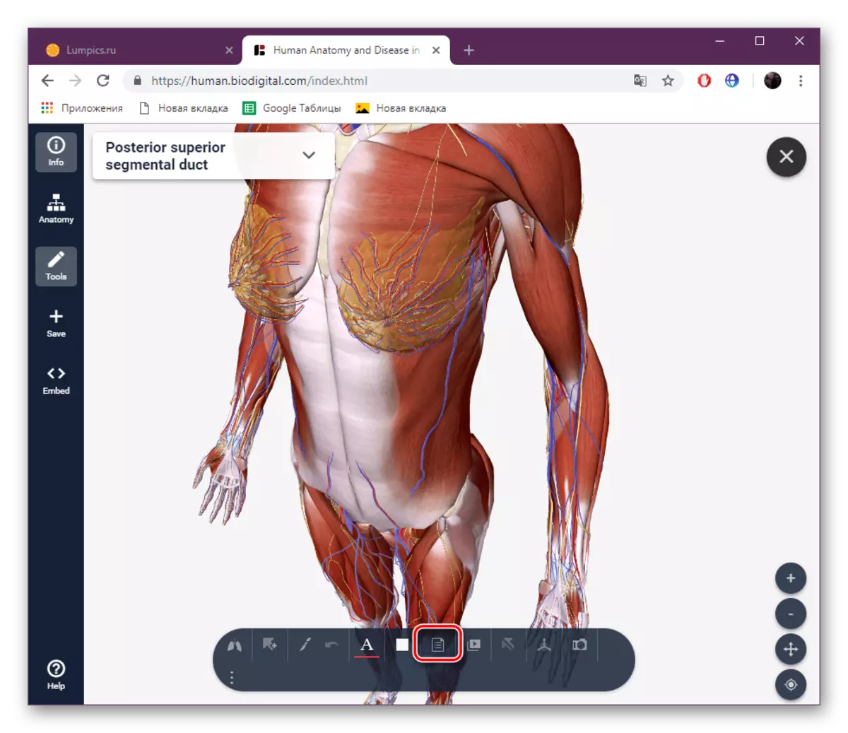 Wụsie ike na ịnwale ebe nrụọrụ weebụ biodigital