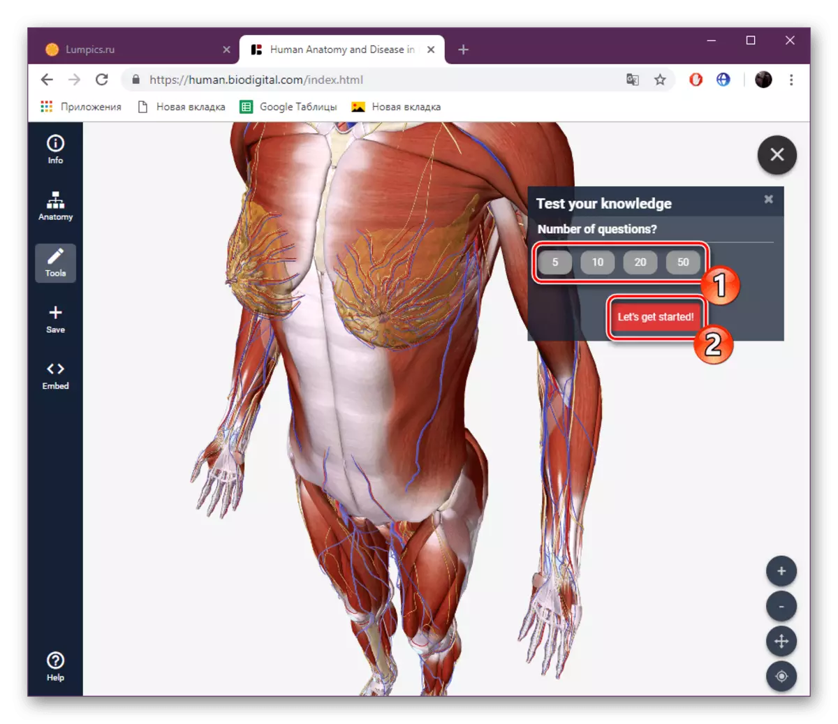 Välj antal testfrågor på biodigital