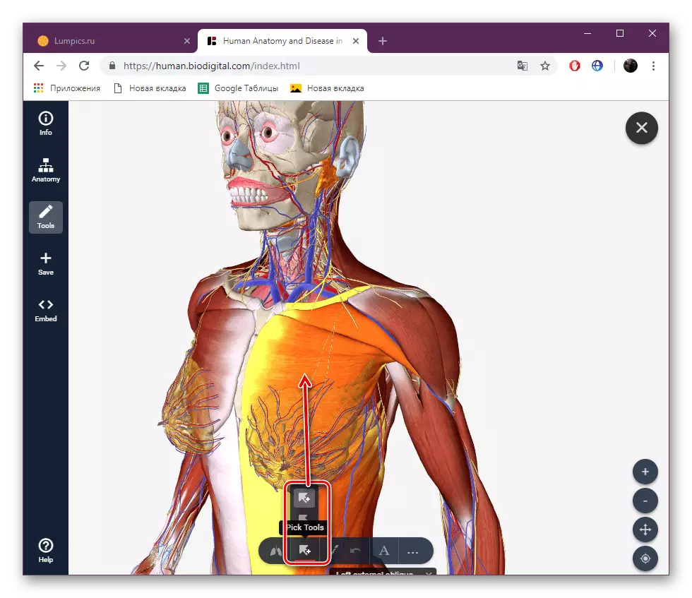 Izbor više dijelova na Biodigital sajtu