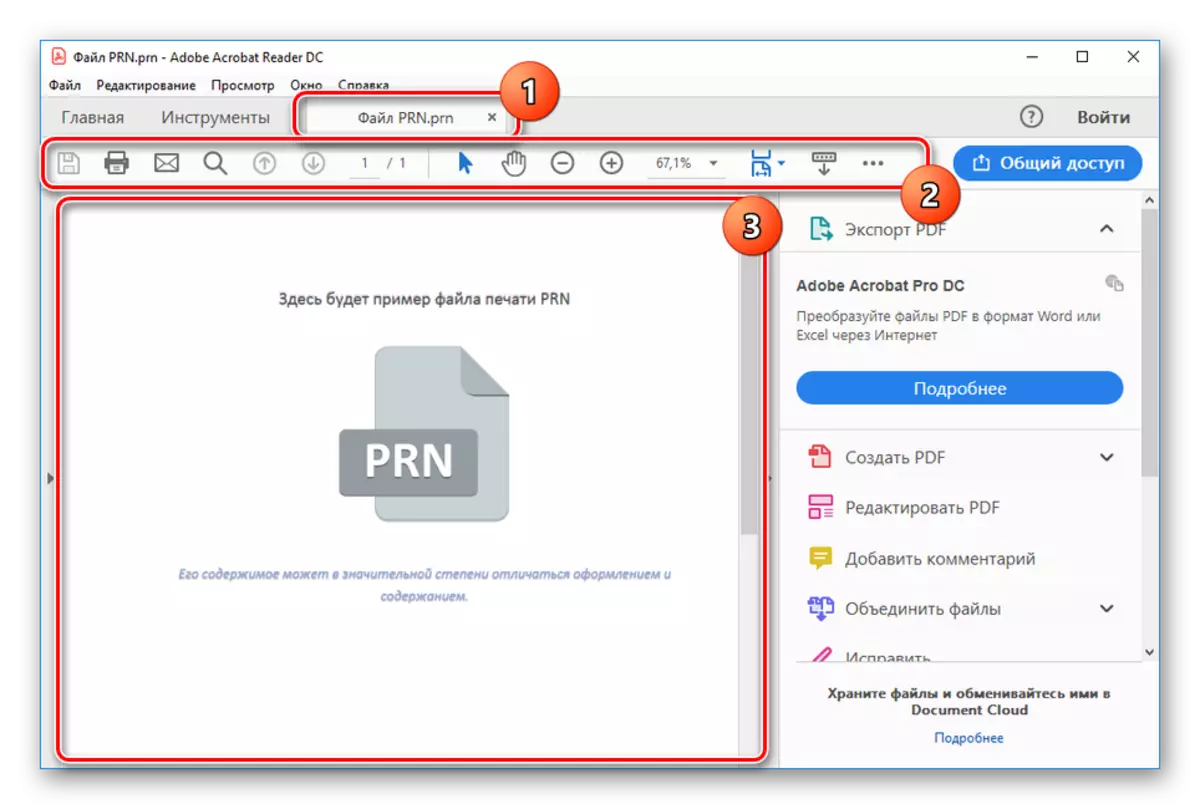Úspěšně otevřený PRN soubor v Adobe Acrobat