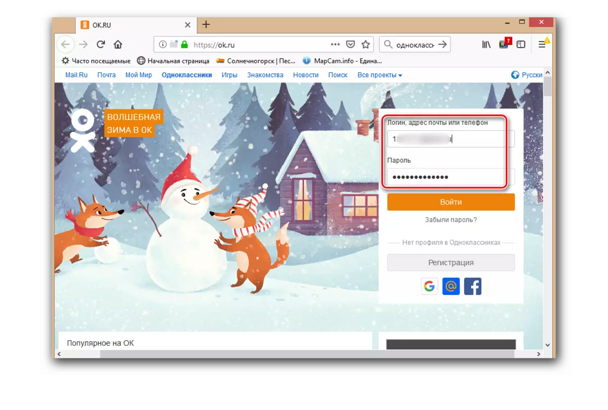 Saved passwords OK in Mozilla Firefox