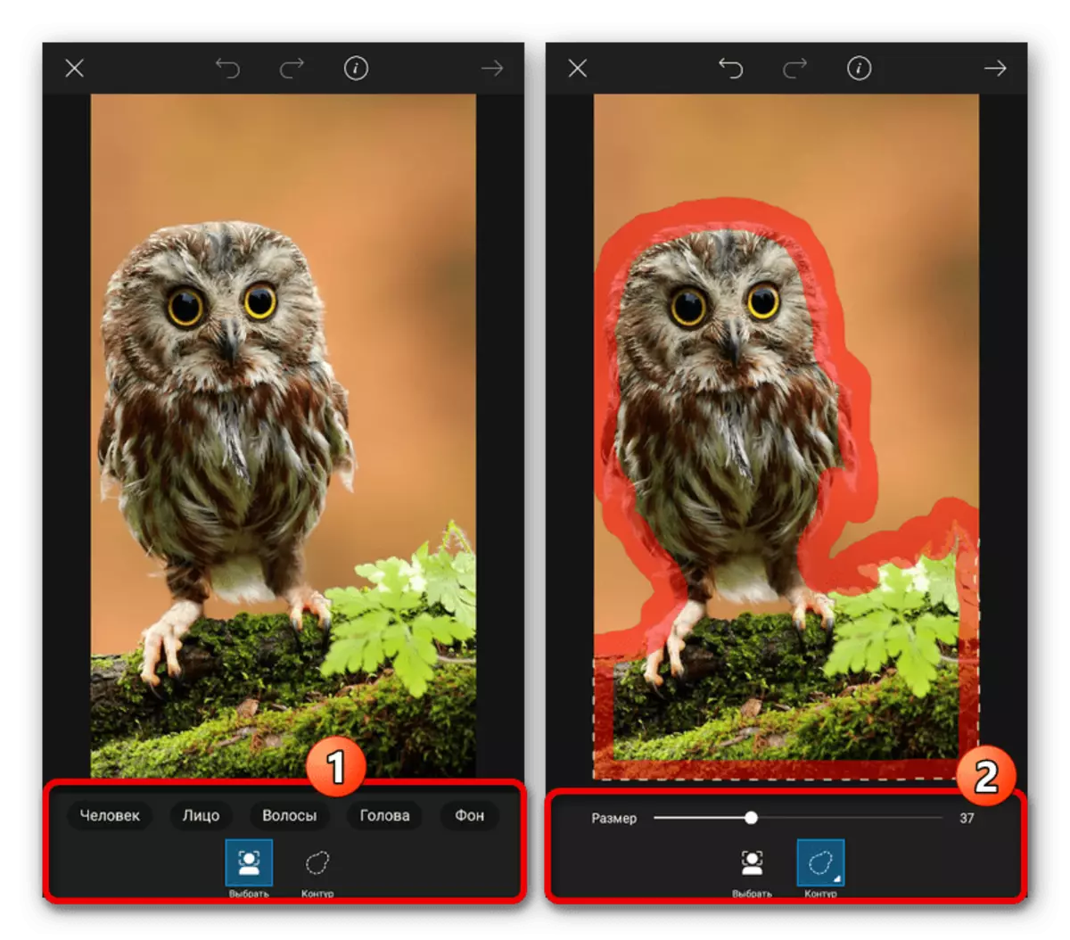 PicsArt 응용 프로그램의 이미지의 배경 제거 프로세스