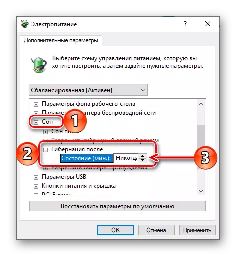 Definysje fan oergongsparameters nei Hibernation Mode op in kompjûter fan Windows 10