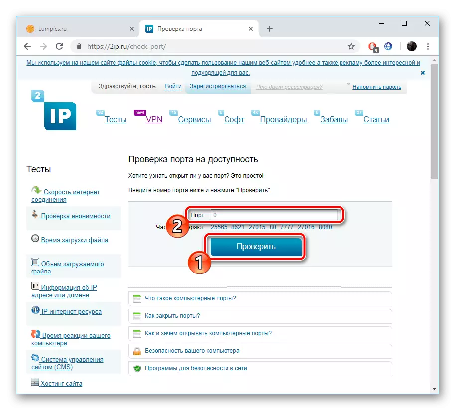 输入端口以检查网站2IP.ru