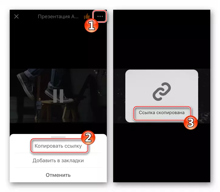 Видео савер про + Цлоуд Дриве Цопирање линкова за видео у разредима да бисте уметнули у апликацију