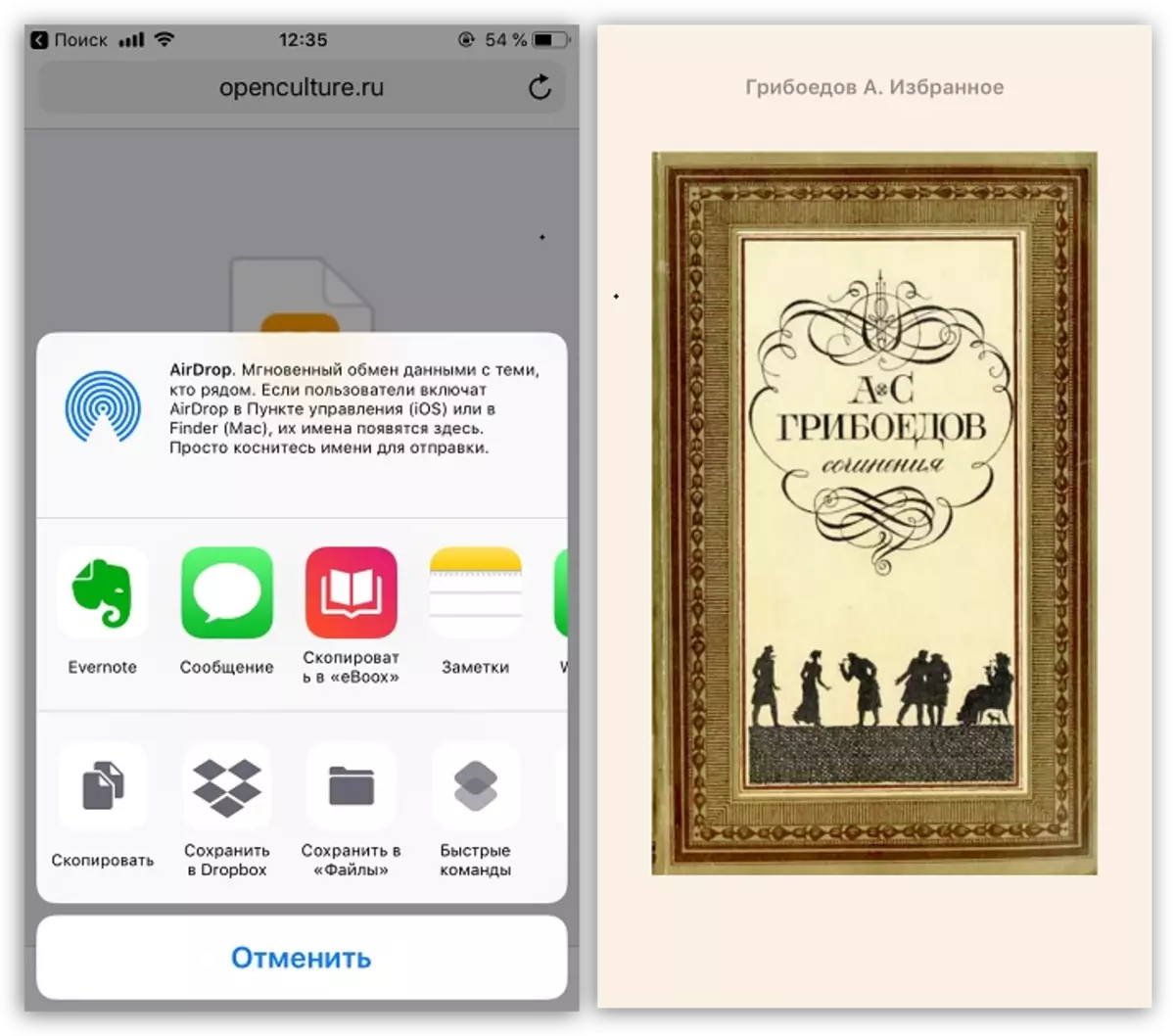 Memuatkan buku di iPhone melalui penyemak imbas