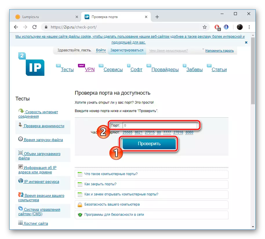 Semak pelabuhan di laman web 2ip.ru