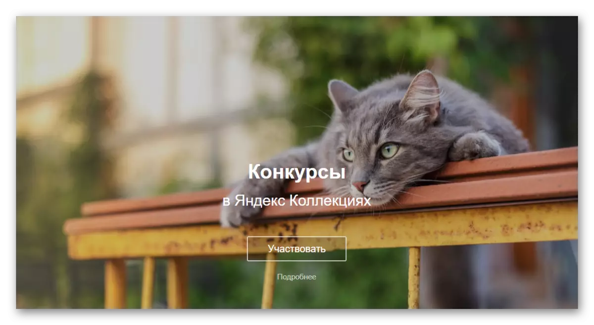 Yandex.Collections ನಲ್ಲಿ ಫೋಟೋಗಳನ್ನು ಸ್ಪರ್ಧಿಸುತ್ತದೆ