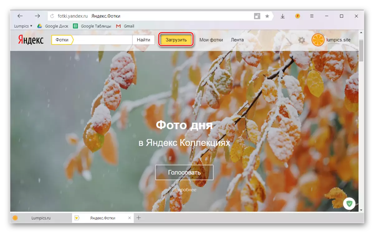 Baixeu la vostra foto al servei web de Yandex. Utilitzant Yandex.Bauzer