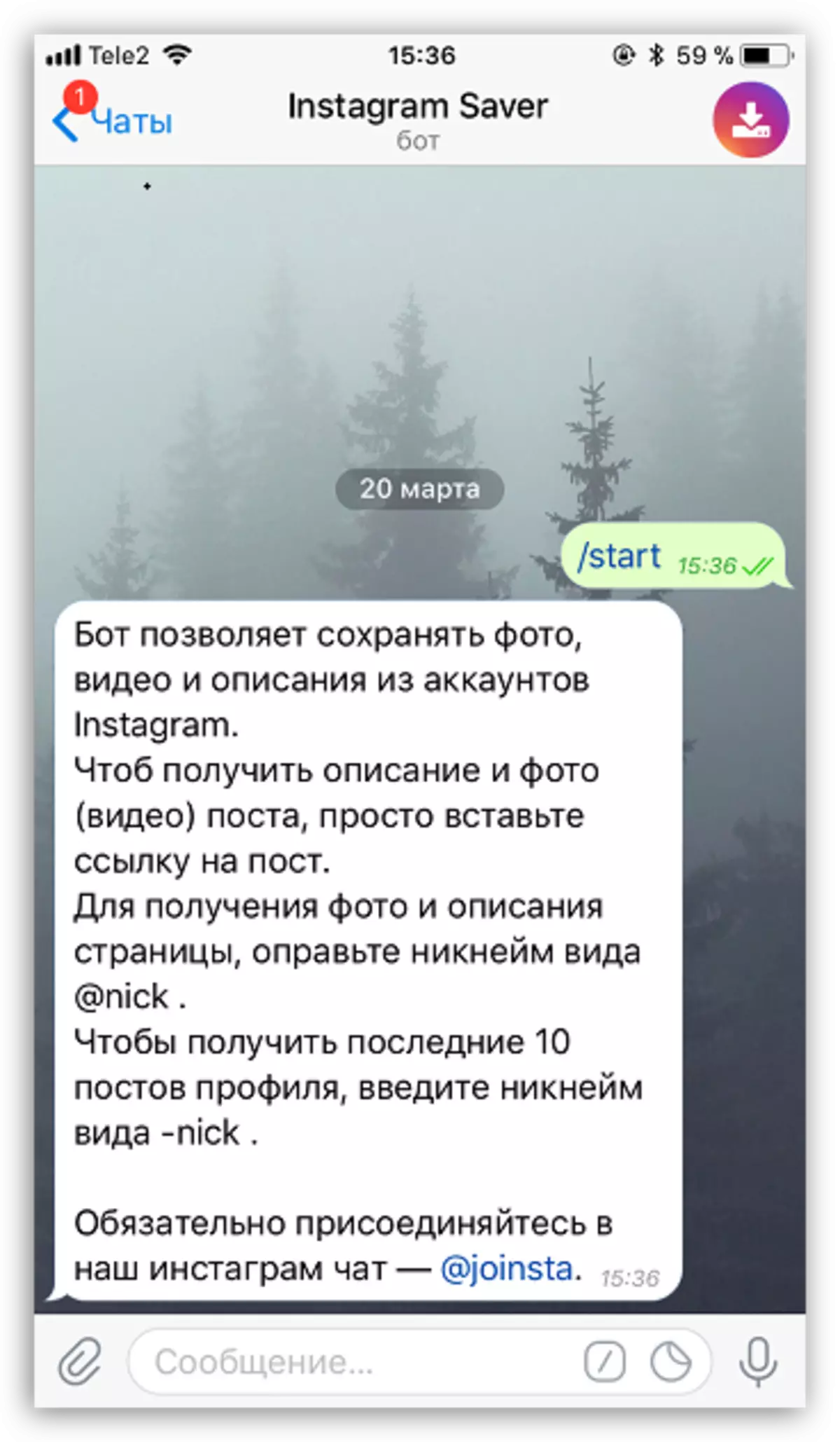 Instruksies vir die gebruik van Bot Instagram Saver in telegram