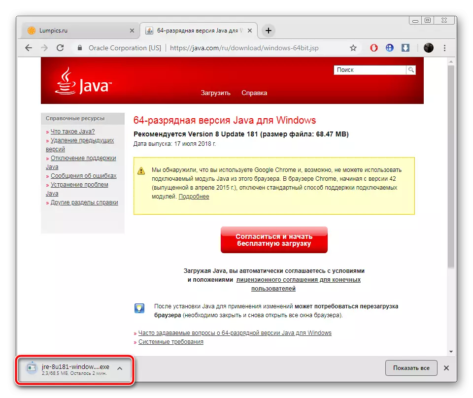 Pornirea instalatorului Java