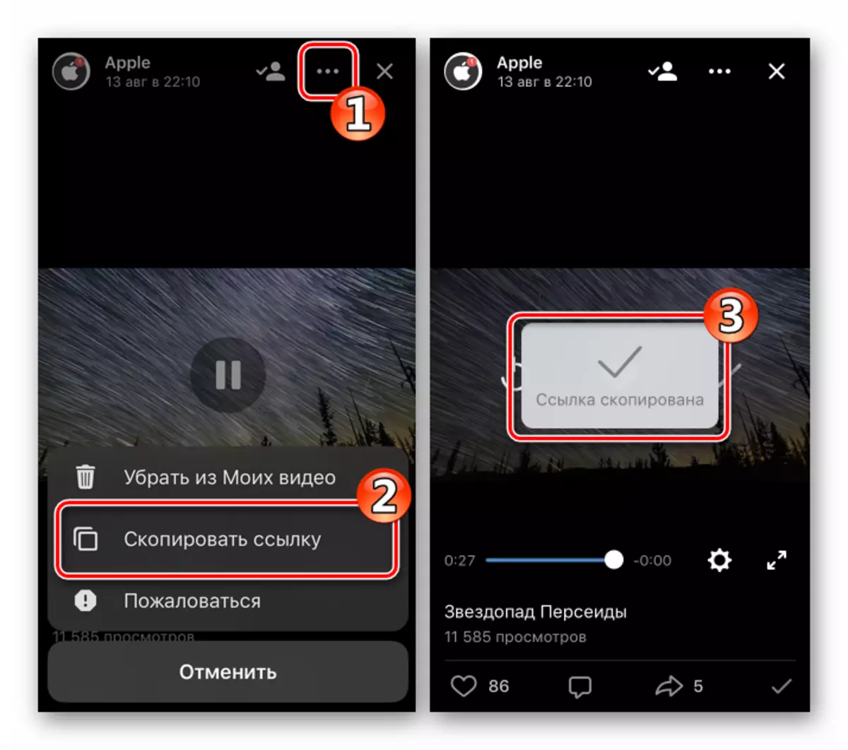 VKontakette fir iOS Copy Linken op de Video Download duerno