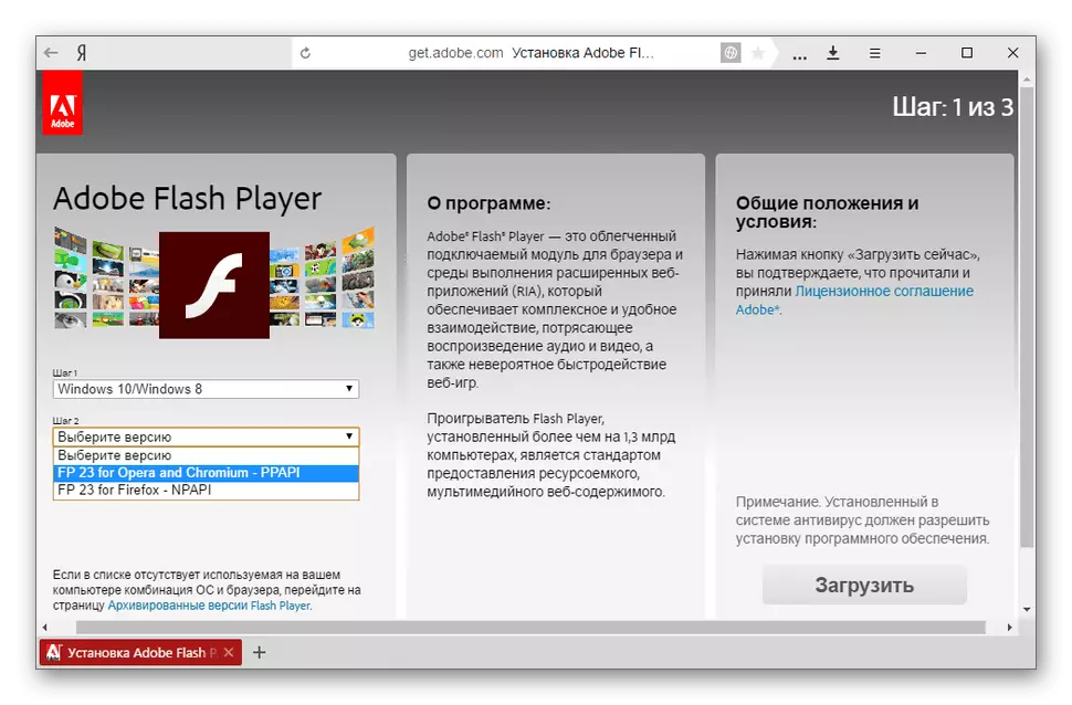 DOWNLOAD Adobe Flash Player Supplement.