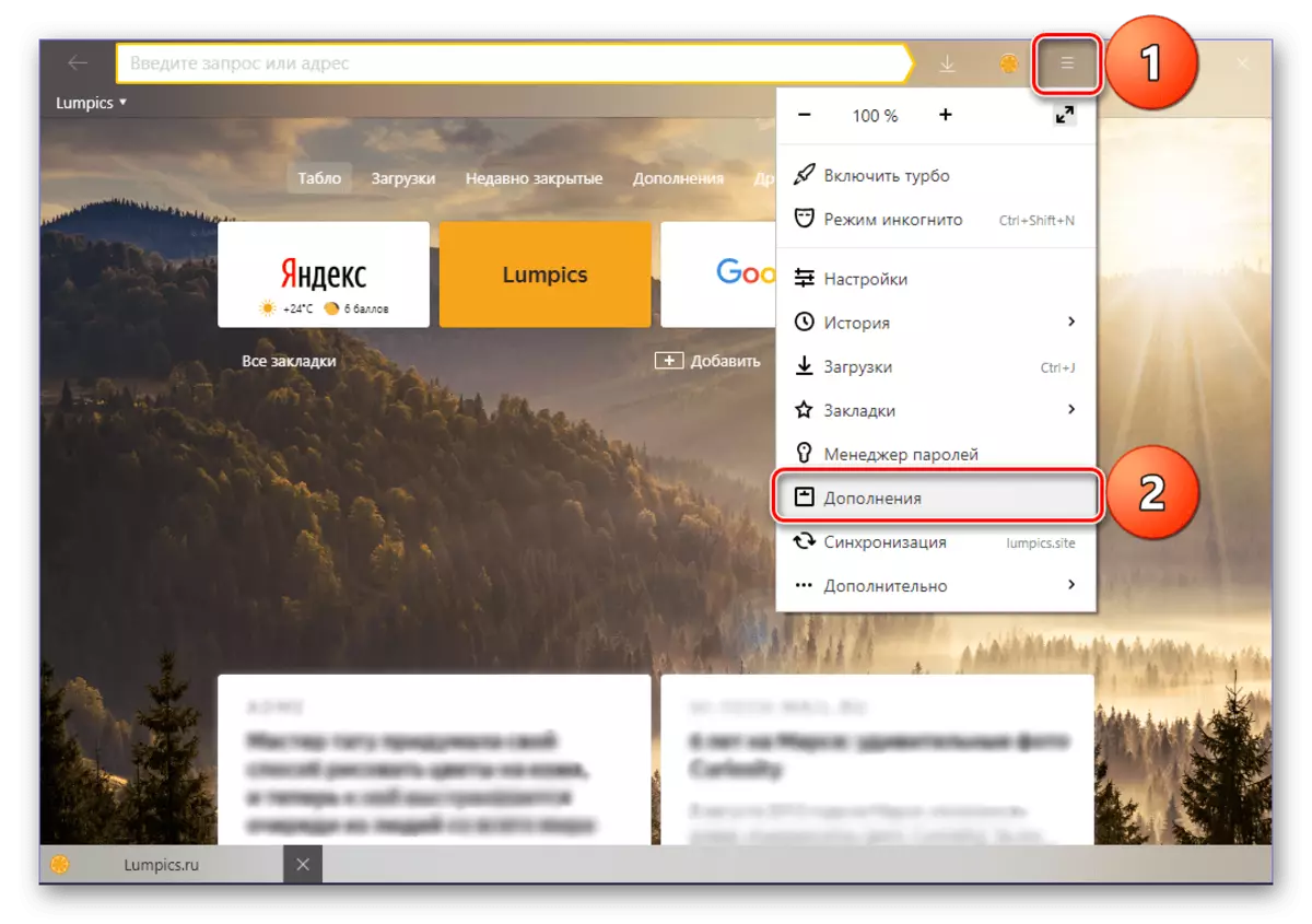 Gitt an d'Sektioun addéiert duerch d'Astellunge vum Yandex Browser