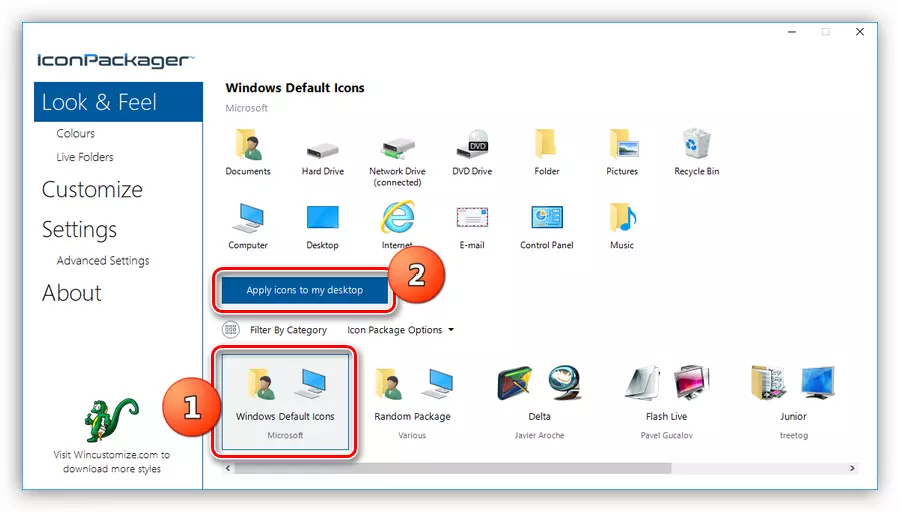 Restaurarea pictogramelor sursă în programul Windows 10 iconpackager
