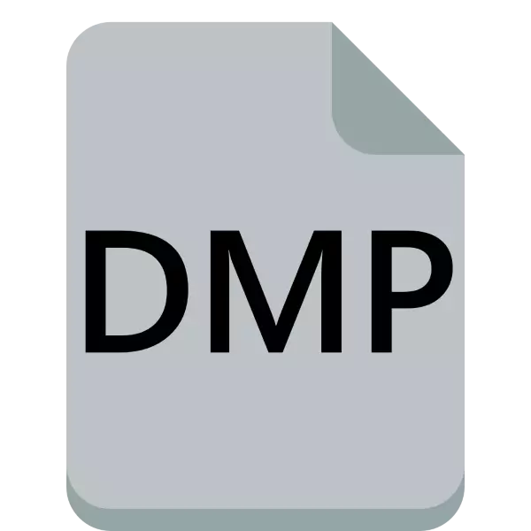 როგორ გახსენით DMP.