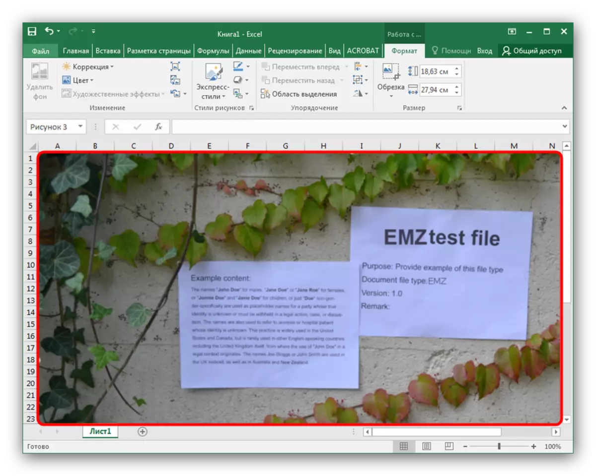 EMZ ֆայլը բաց է Microsoft Excel- ի աղյուսակում