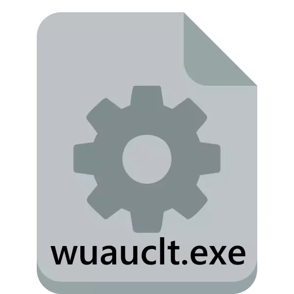 wuauclt.exe - koks procesas