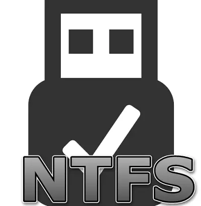 Faʻafefea ona faʻatulaga le USB flash drive i le NTFS
