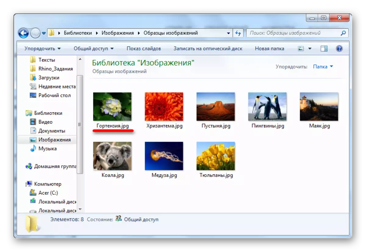 Windows 7에서 확장을 표시하는 파일의 이름