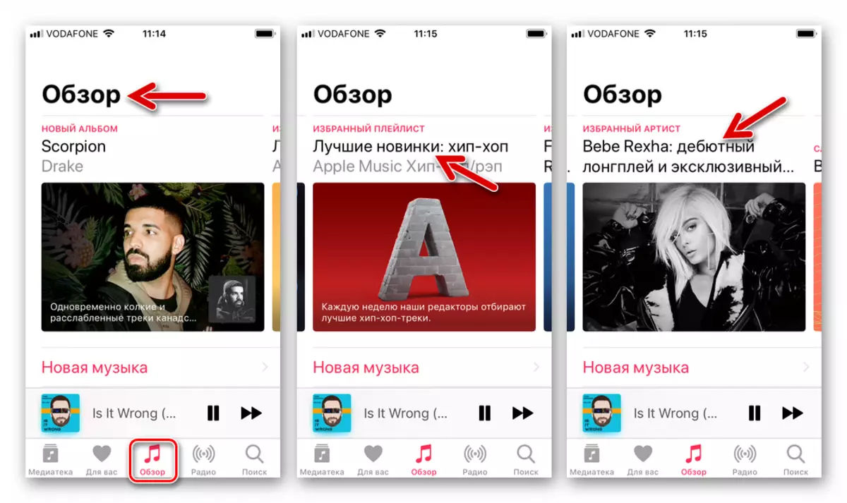 Apple Music for iOS section Overview in Application Music