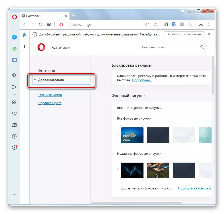 Opening additional settings in the opera's browser