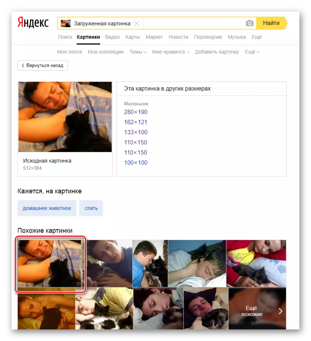 Nađenih u Yandex slikama