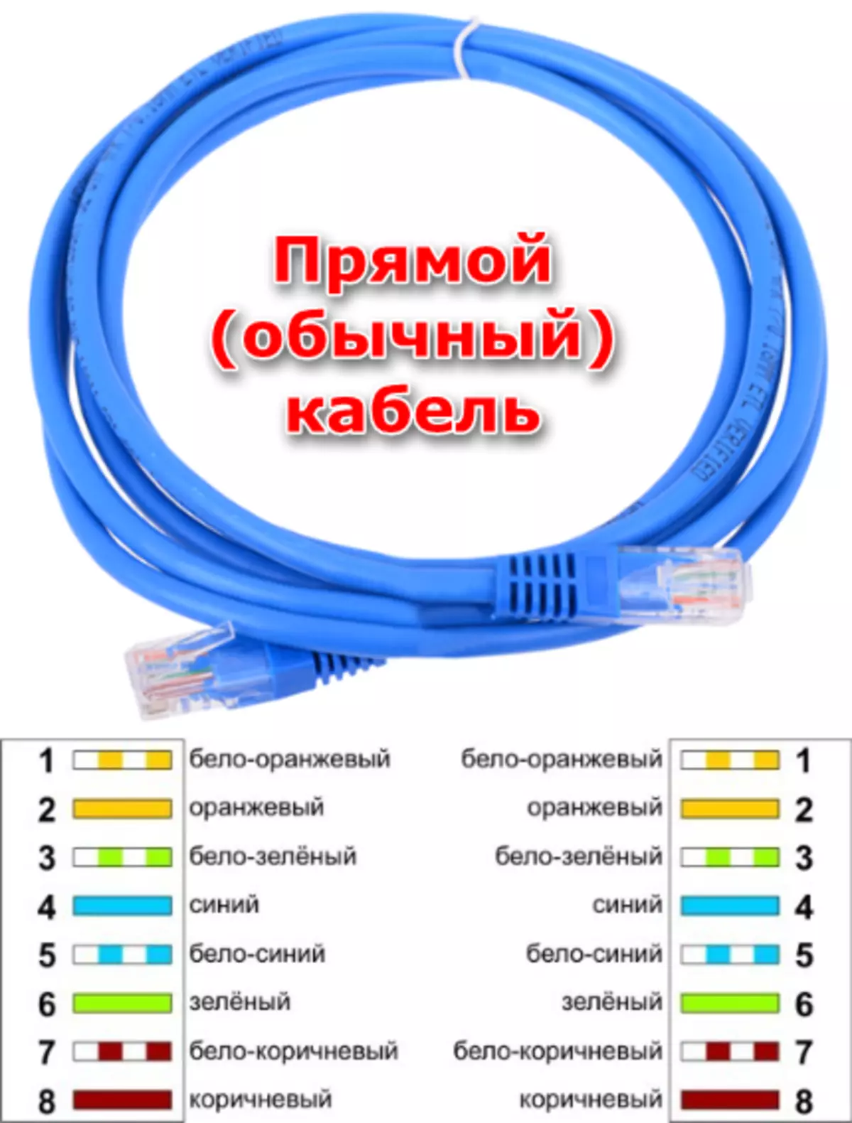 cable de red de conexión directa para crear una red local
