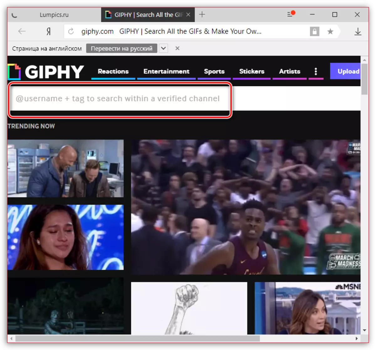 חיפוש gif על giphy.com