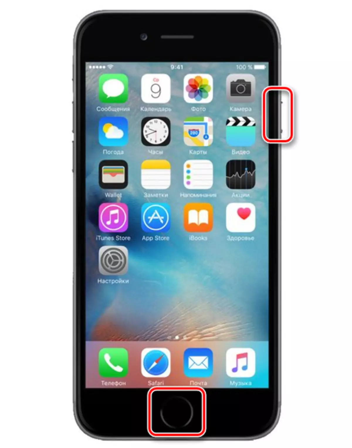 Fanerena an-tery an-tsokosoko iPhone 6s sy ny zandriny