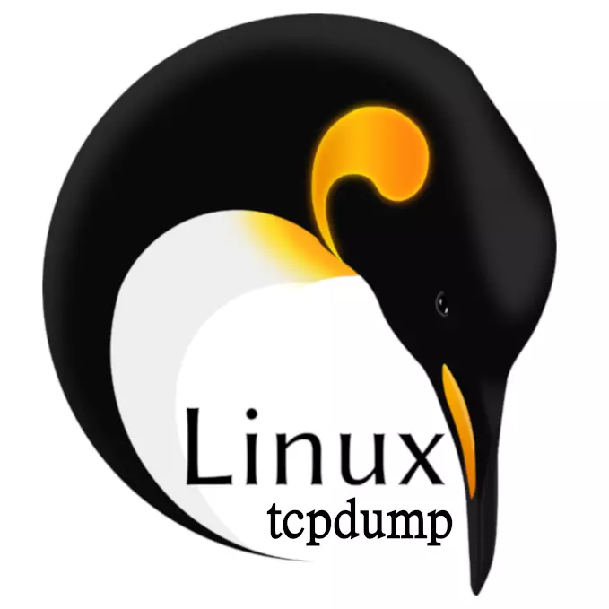 Linux의 tcpdump의 예