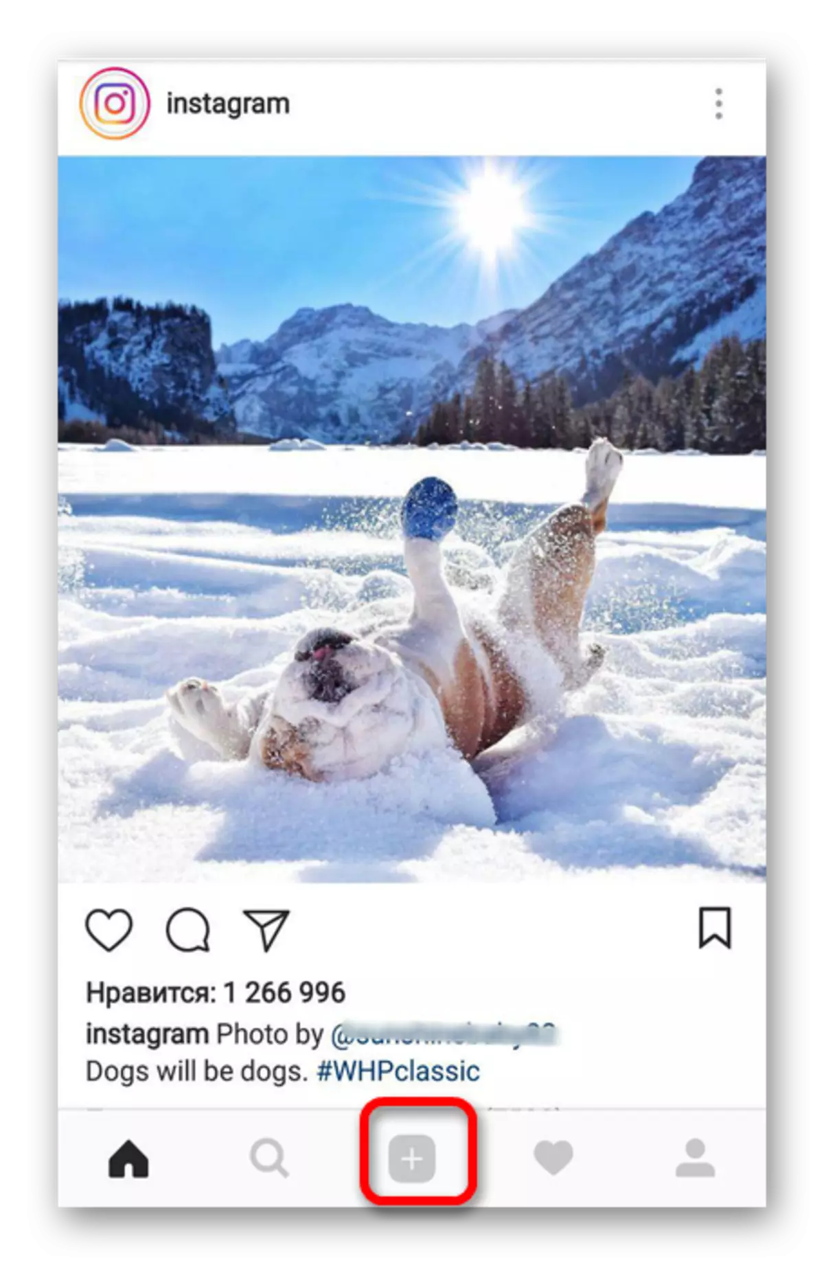 Publicējiet Instagram ierakstu Android OS