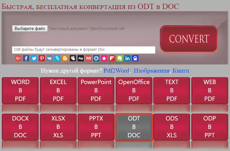 Pilih jenis konversi di ODT Converter di Doc
