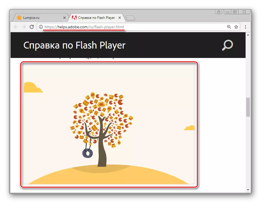 Flash Player in Google Chrome functions normally