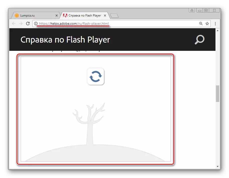 Flash Player Google Chrome არ მუშაობს. მიზეზი - რბილი
