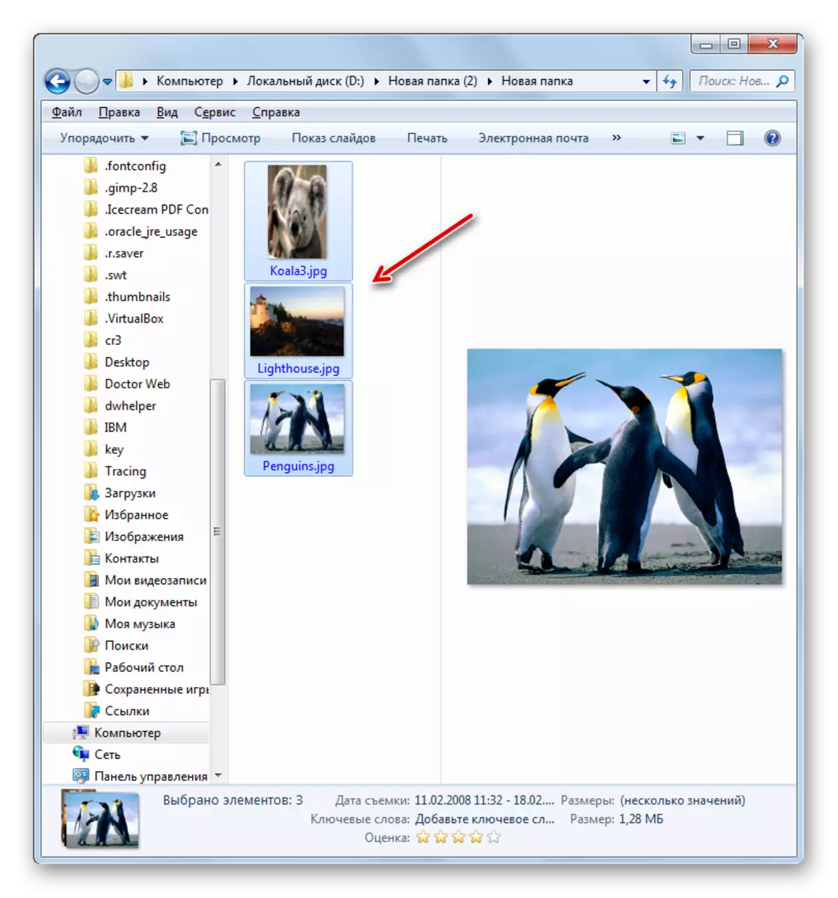 Ang mga nilalaman ng zip archive ay naka-unpack sa Windows Explorer