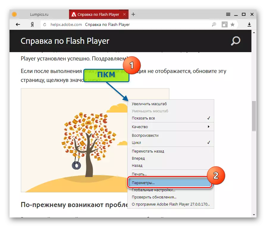 Adobe Flash player en Yandex.Browser Parámetros Flash Player