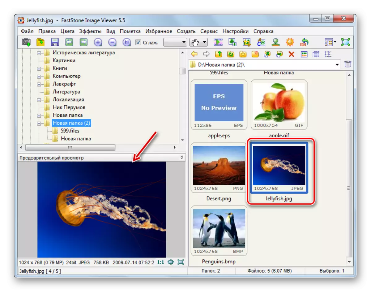 Vaia á vista de pantalla completa da imaxe de JPG no xestor de ficheiros de visor de imaxes de Faststone