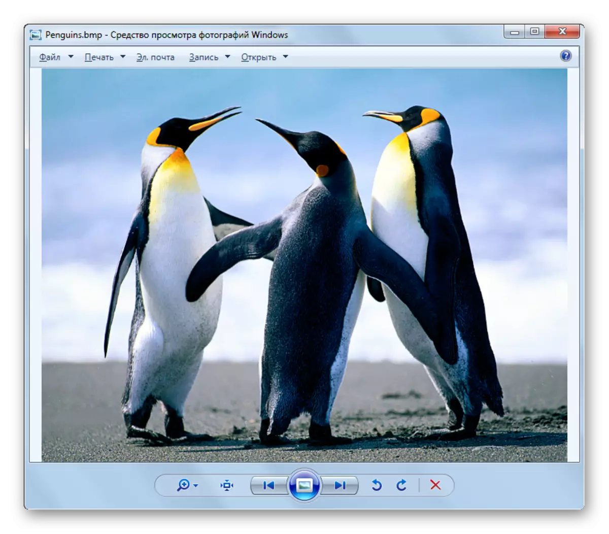 BMP 이미지는 쉘에서 열려 있으며 Windows 7에서 Windows의 사진을 봅니다.