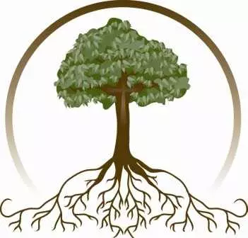系統樹を作成するためのプログラム