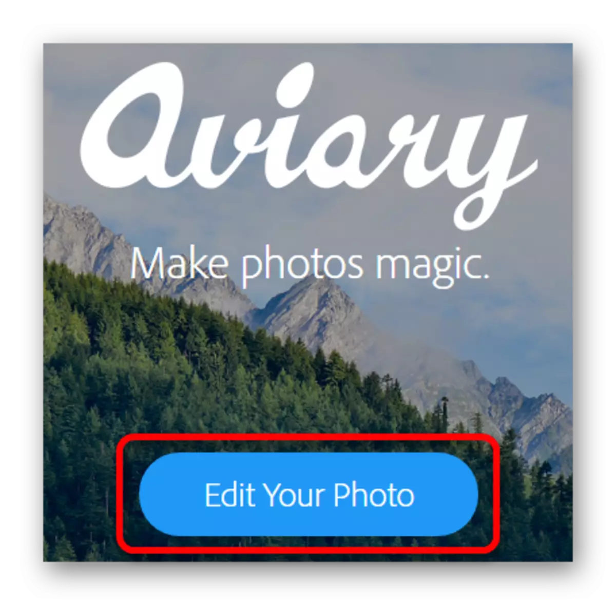 Online-Aviary-Foto-Editor öffnen