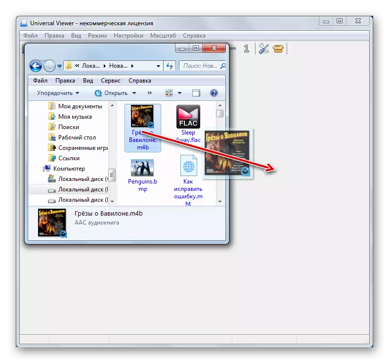 Audiobook dosyasını M4B'yi Windows Gezgini'nden Universal Viewer penceresine sürükleyerek