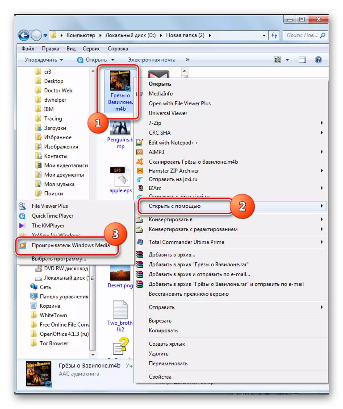تشغيل تشغيل M4B Audiobook باستخدام Menia Windows Explorer Platingent في Windows Media Player