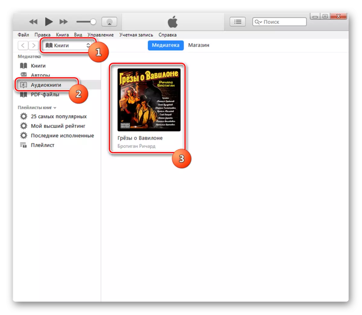 הפעלת השמעת Audiobook M4B ב- iTunes