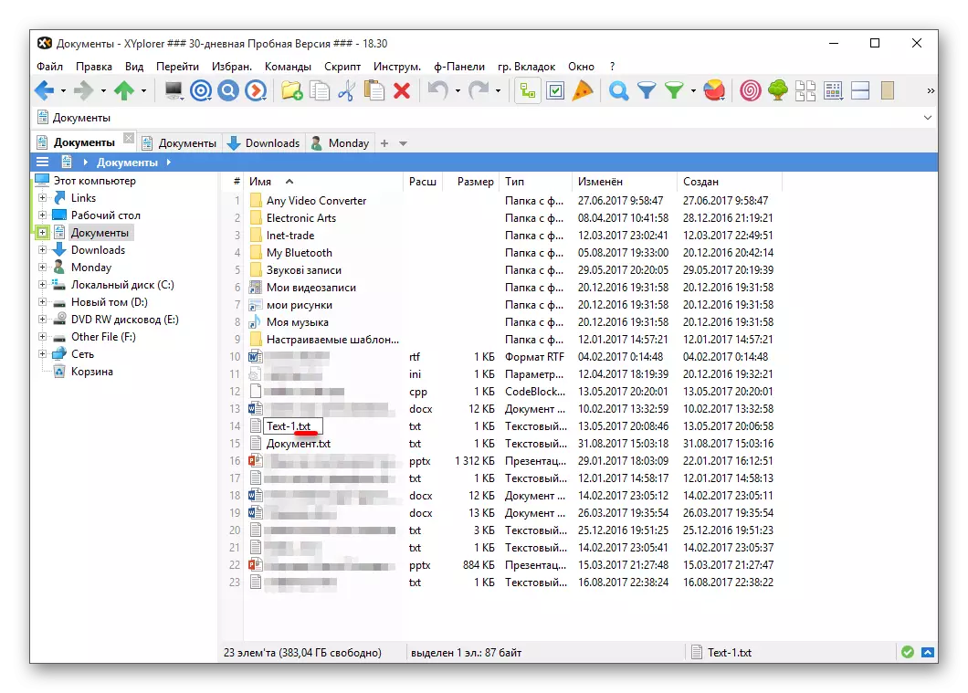 Cambiar a expansión do ficheiro usando a versión de proba do xyplorer File Manager en Windows 10